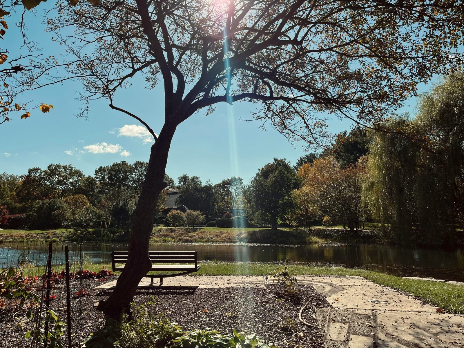 a park bench sitting next to a lake